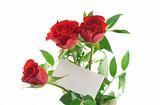 three red roses with blank love note