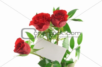 three red roses with blank love note