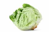 lettuce head on white