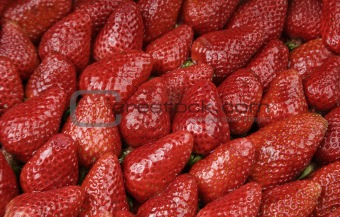Bright Red Strawberries