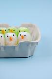 Easter chicks in egg carton