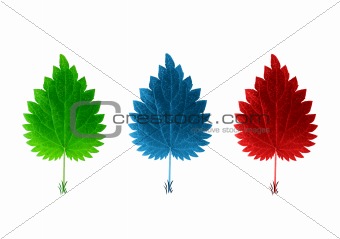 isolated red blue & green leaves