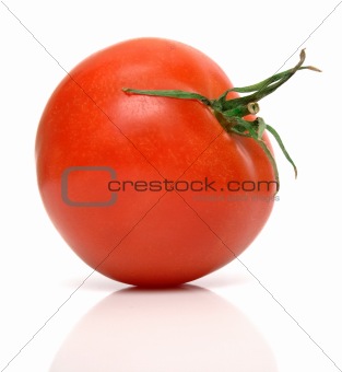perfect tomato