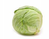fresh cabbage on white background