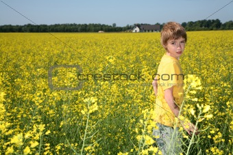 Boy in canola field