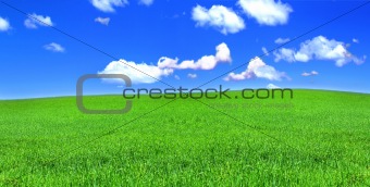 panoramic view of peaceful grassland