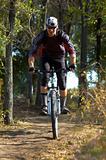 Biker on forest path