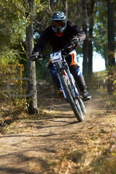 Downhill in forest