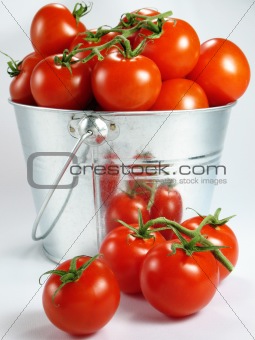 Pail of Tomatoes