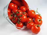 Tomatoes in a Bucket
