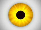 Yellow Eye