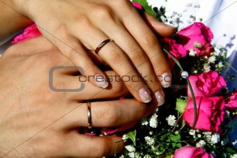 Hands of bride and  bridegroom
