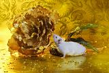 white mouse on yellow