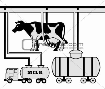 Manufacture of milk