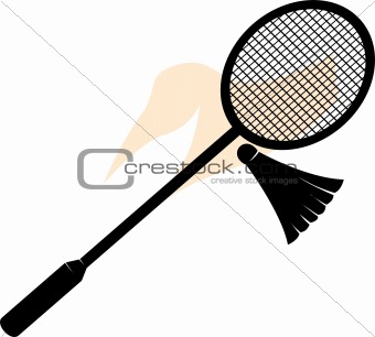 racket and birdie