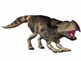 Protoceratops-3D Dinosaur