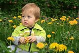 Child with the dandelion