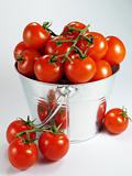 Bucket of Tomatoes