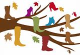autumn shoe tree