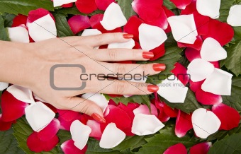 Hand And Petals