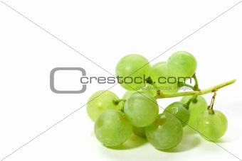 isolated grape 