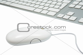 keyboard and the mouse