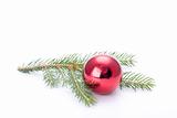 spruce branch and christmas decoration on white background