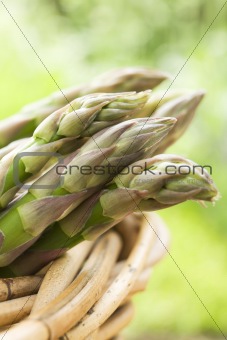 Bunch of asparagus in basket