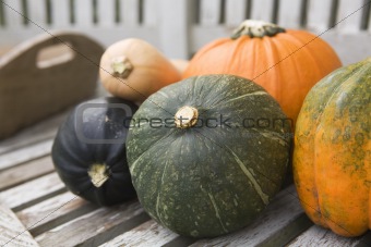 Selection of pumpkin and squash