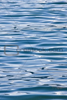Water scene - 