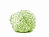 Green cabbage vegetable