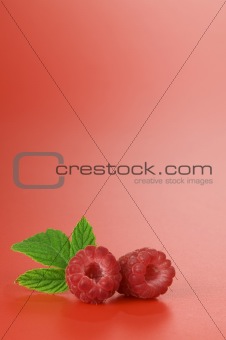 berry label