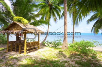 tropic hut