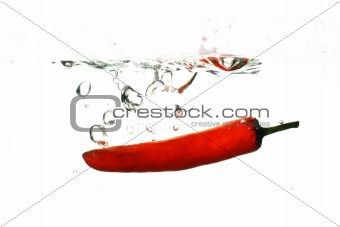 chili pepper cook