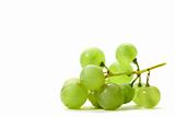 isolated grape 