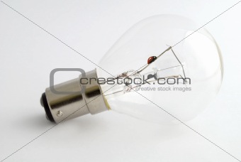 Ladybird on bulb filament