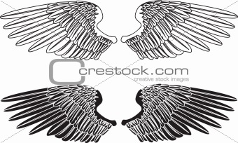 Black and White Wings
