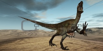 Utahraptor ostrommayorum