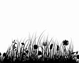 vector grass and flowers
