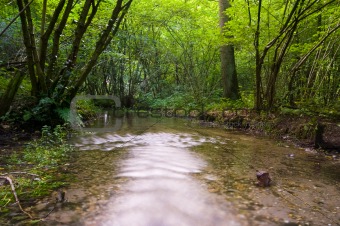 running creek