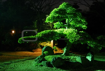 zen garden by night