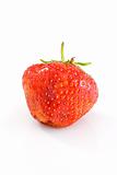 Single tasty ripe red strawberry 