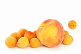 Orange peach and some apricots