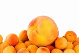 One peach over the pile of apricots
