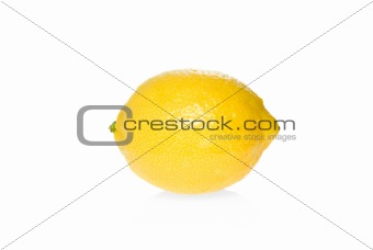 Single ripe lemon