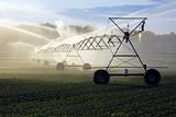 crop irrigation