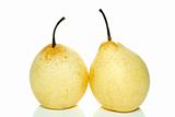 Two yellow china pears 
