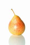 Single spotty yellow-red pear