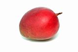 Single red mango fruit