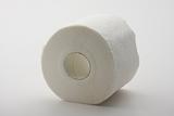 single roll of toilet paper
